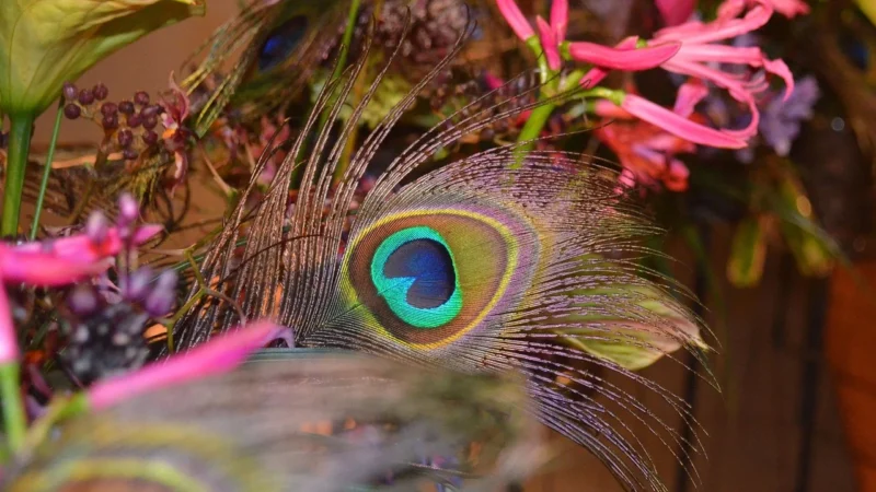 Arte Tapeta Dekoracyjna Peacock 13511 2730
