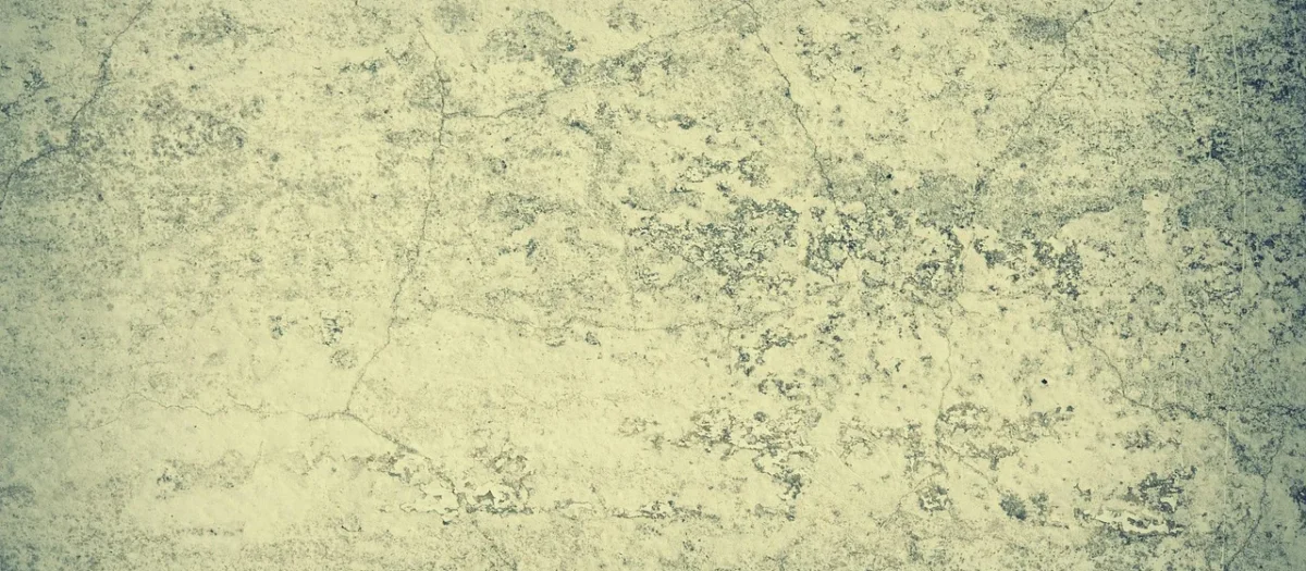 Arte Tapeta Dekoracyjna Serene 54160 4061