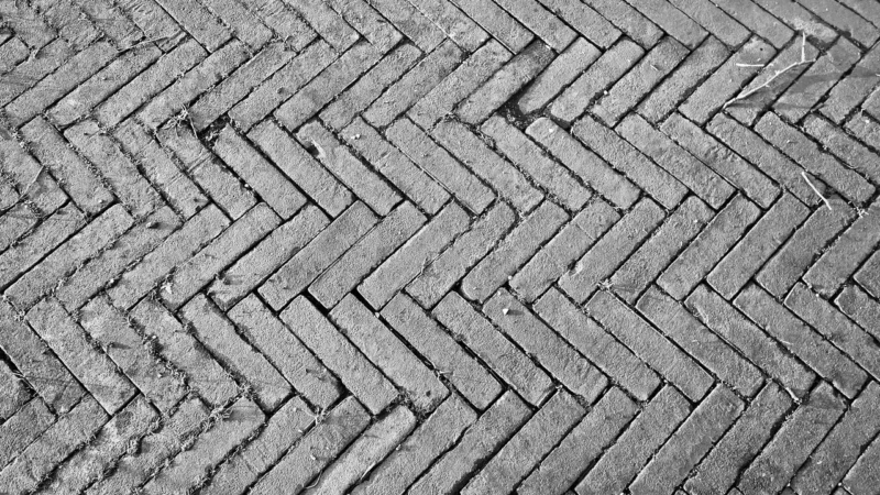 As Creation Jodełka Biało Szara
