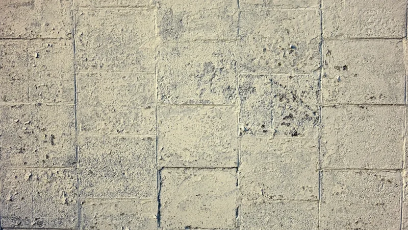 Chemstal Betonkor W Farba Do Ogrodzeń Szary Jasny 10l