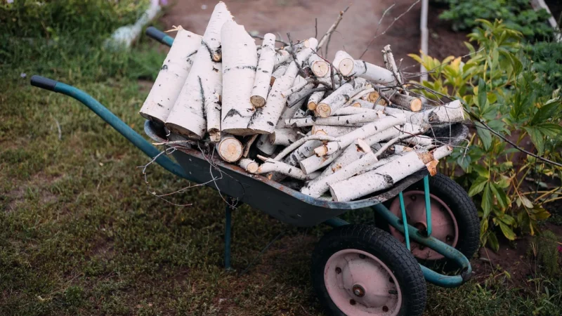 Drewno Projekt Listwa dąb LP50 nielakierowany 2,40m