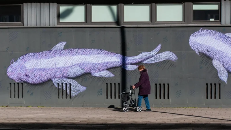 Eijffinger Tapeta Dekoracyjna Pip Studio 3 341097 (Mural) 7417