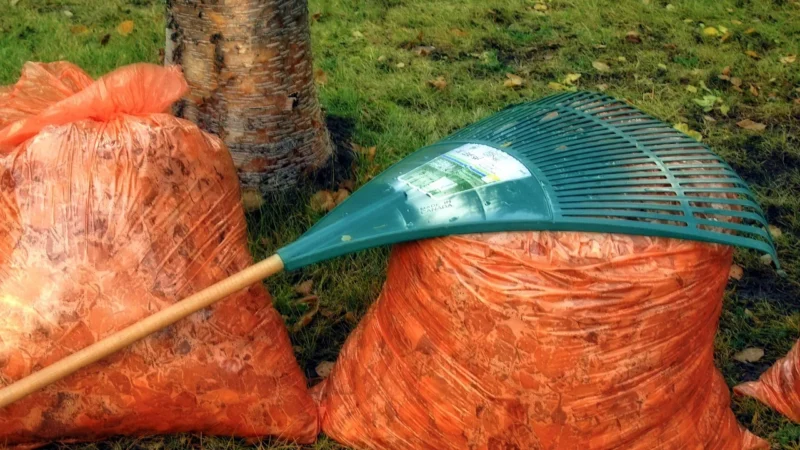 Fiskars Głowica Grabi Do Liści Solid