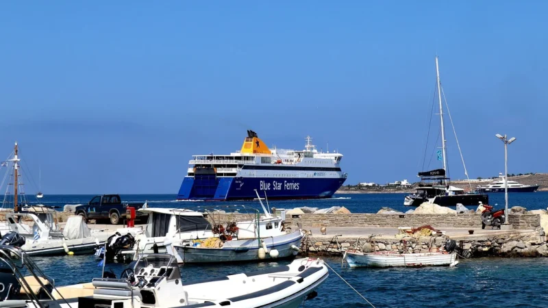 Ivena Paros 48, x37,5 Czarna CE36005