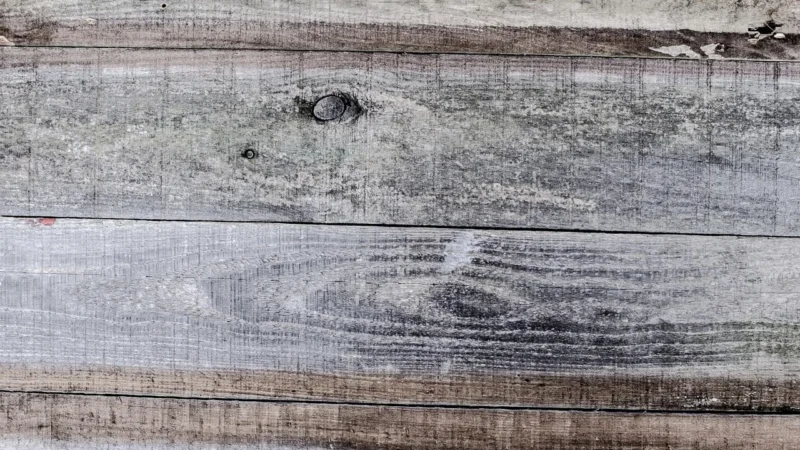 Lamele Na Białej Płycie Dąb Naturalny Grandson 12szt.