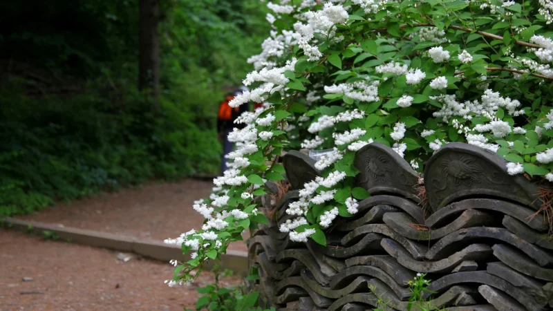 Opoczno Ps800 White Micro Rect Biały 29,8×59,8