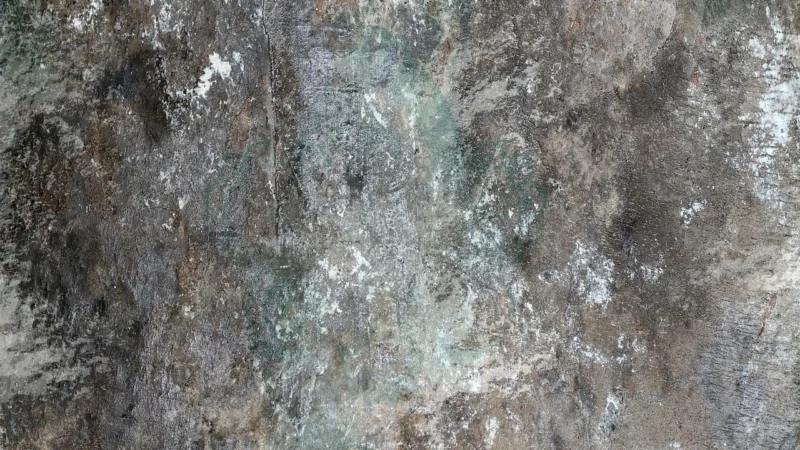 Panele podłogowe Designflooring Looselay Ontario Llt218 6944