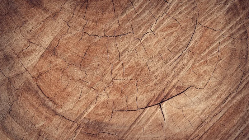 Panele podłogowe Designflooring Van Gogh Country Oak Vgw81T-7 7124