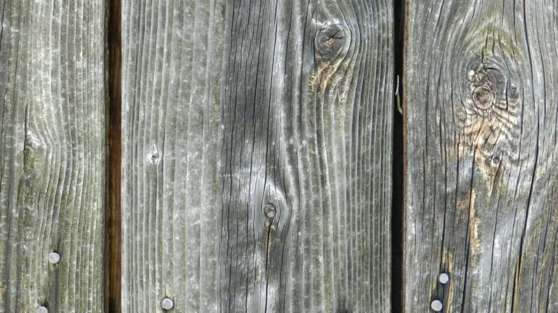 Panele podłogowe Forbo Allura Bleached Rustic Pine 60084Dr4 9485