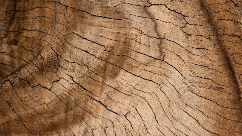 Panele podłogowe Forbo Allura Burned Oak 63420Dr4 9479