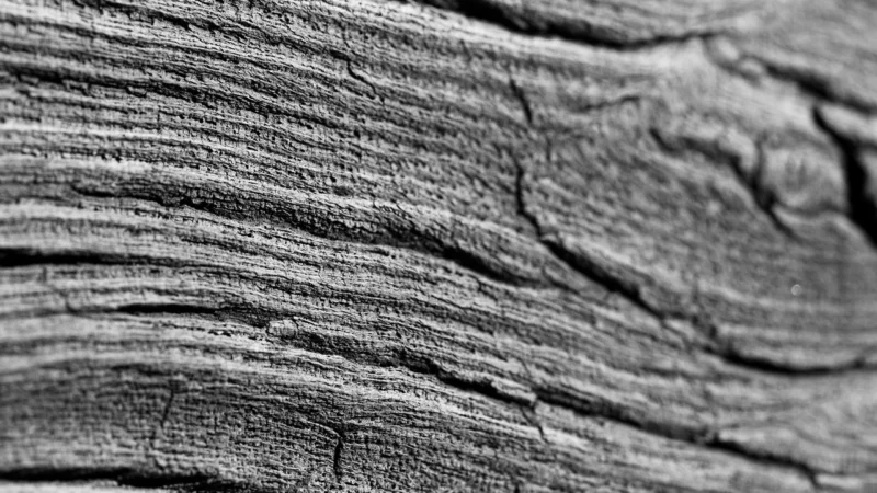 Panele podłogowe Forbo Allura Weathered Rustic Pine 60085Fl5 9495