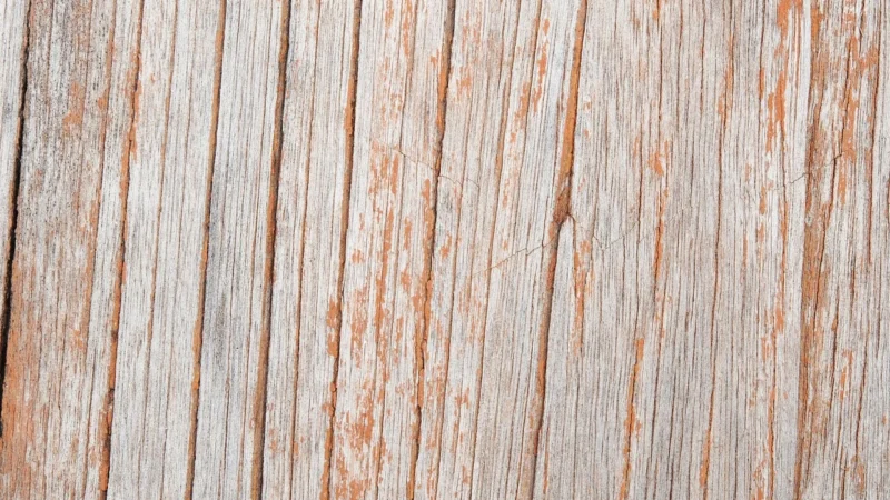 Panele podłogowe Parador Hydron 600 Oak Valere Dark Limed 1744808