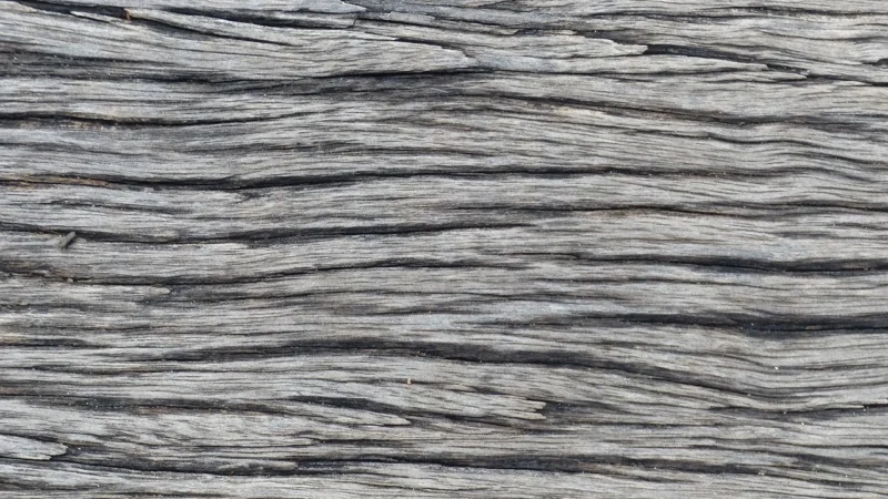 Panele podłogowe Quick Step Classic Dąb Popielaty Szary CLM5786