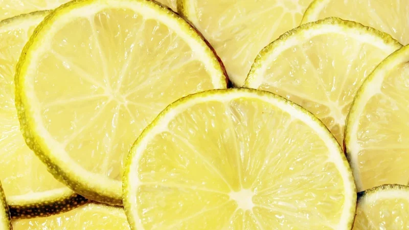 Rasch Tapeta Ścienna Selection 312768, Limonka