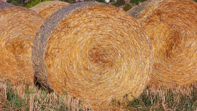 Tapeta Samoprzylepna 10m Kwiaty Ogród f-B-0263-j-c