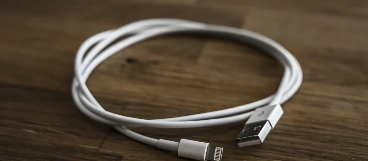 Unitek Przewód Przedłużacz Usb 2.0 3m Y-C417Gbk