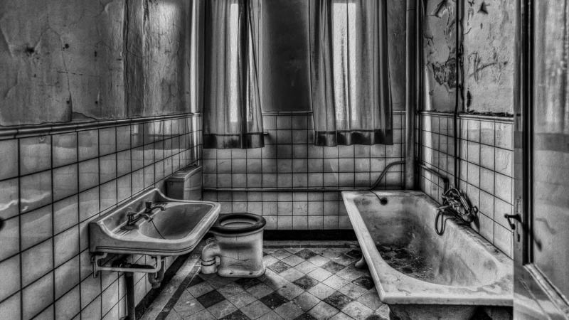 WALLARENA FOTOTAPETA DO KUCHNI ŁAZIENKI ZMYWALNA 416X290