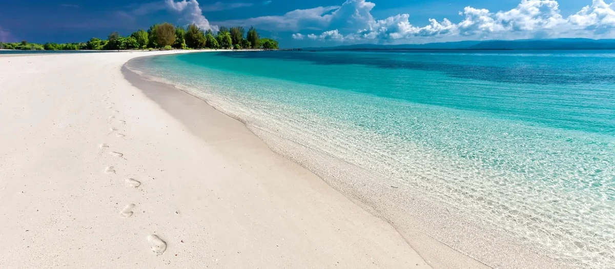 Wallarena Fototapeta Widok Z Tarasem 3D Plaża Palmy 254X184