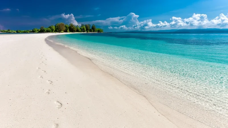 Wallarena Fototapeta Widok Z Tarasem 3D Plaża Palmy 254X184