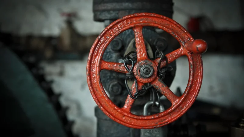 Wymiennik ciepła (Vaillant / Junkers stary-nowy, Termet)