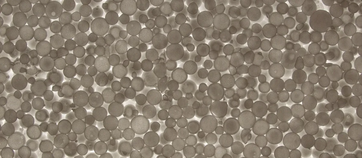 Yetico Styropian Elewacyjny 6cm Alfa Premium Biały 038